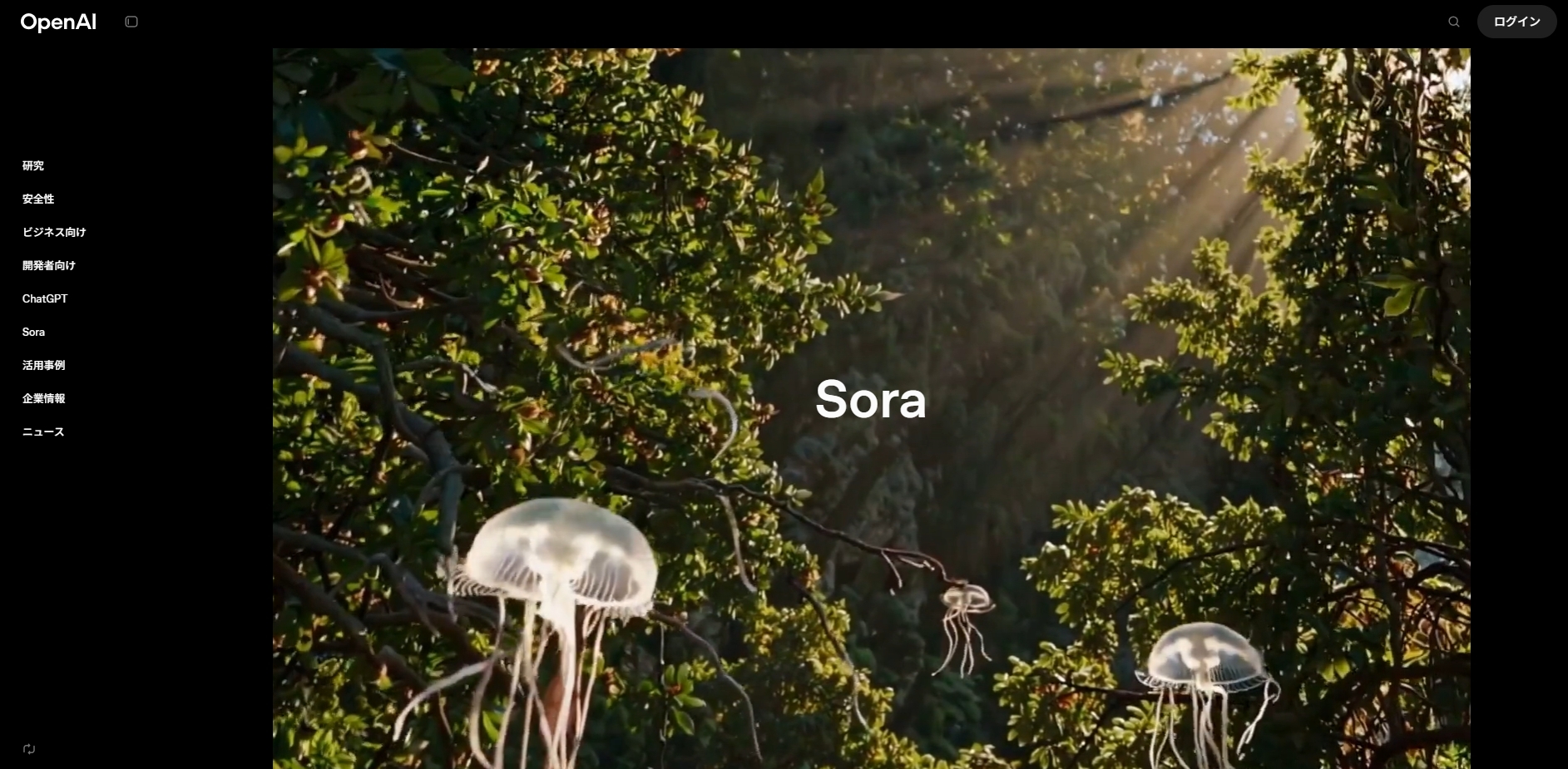 Sora